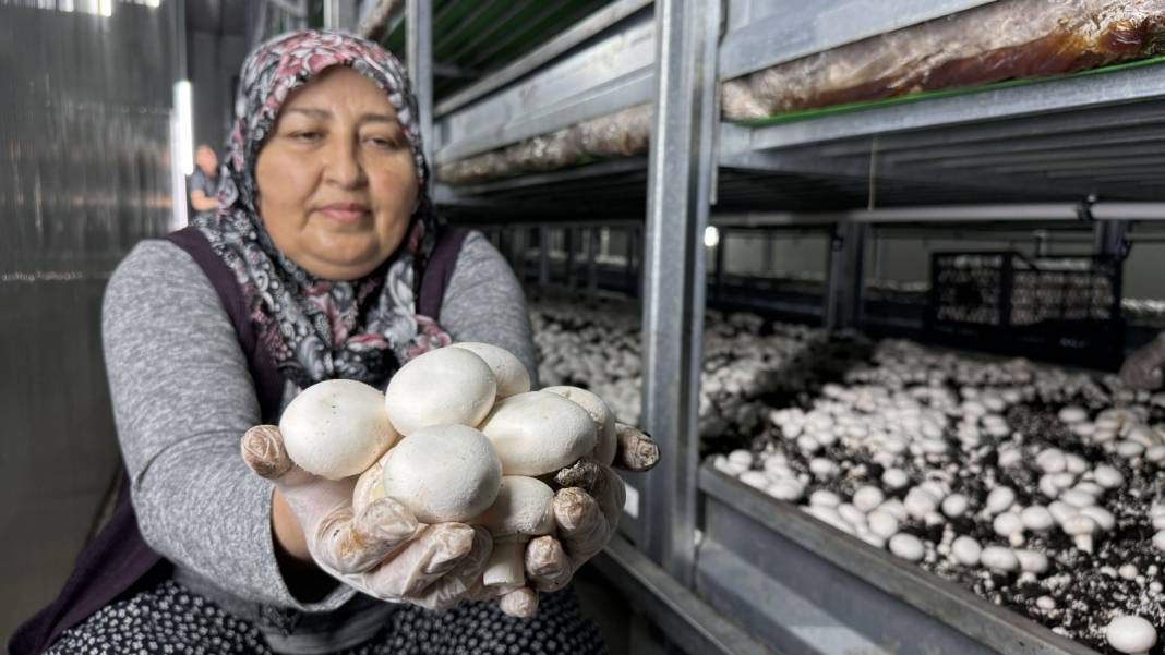 Ayda 60, Yılda 700 Ton Üretiliyor. Mersin'de Ekmek Su Gibi Tüketiliyor! 1